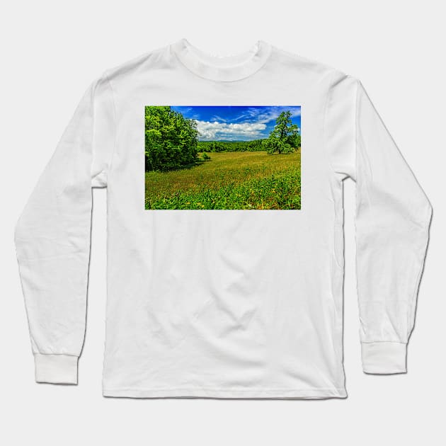 Virginia Summer Meadow Long Sleeve T-Shirt by Gestalt Imagery